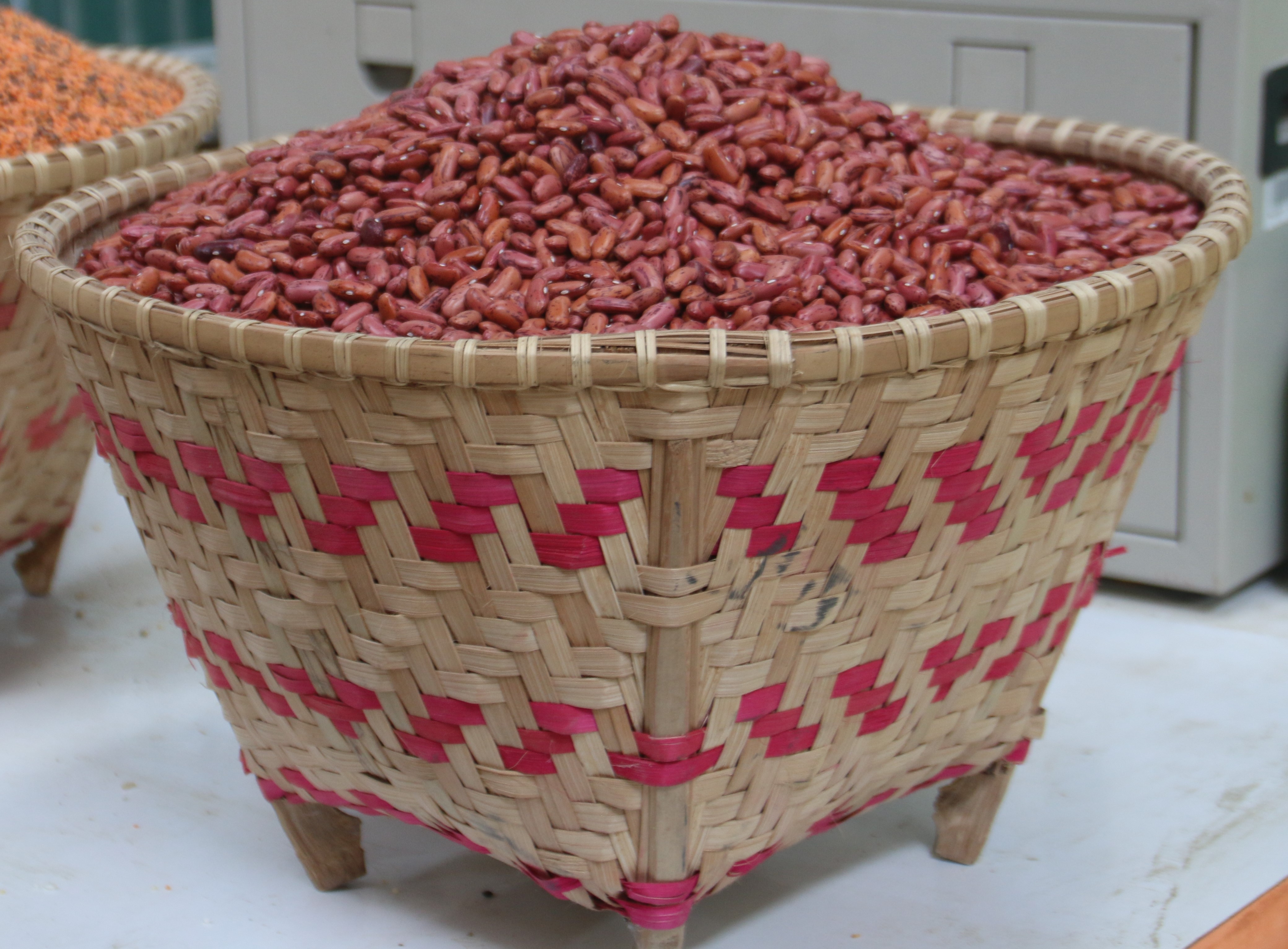 राज्मा दाना राताे